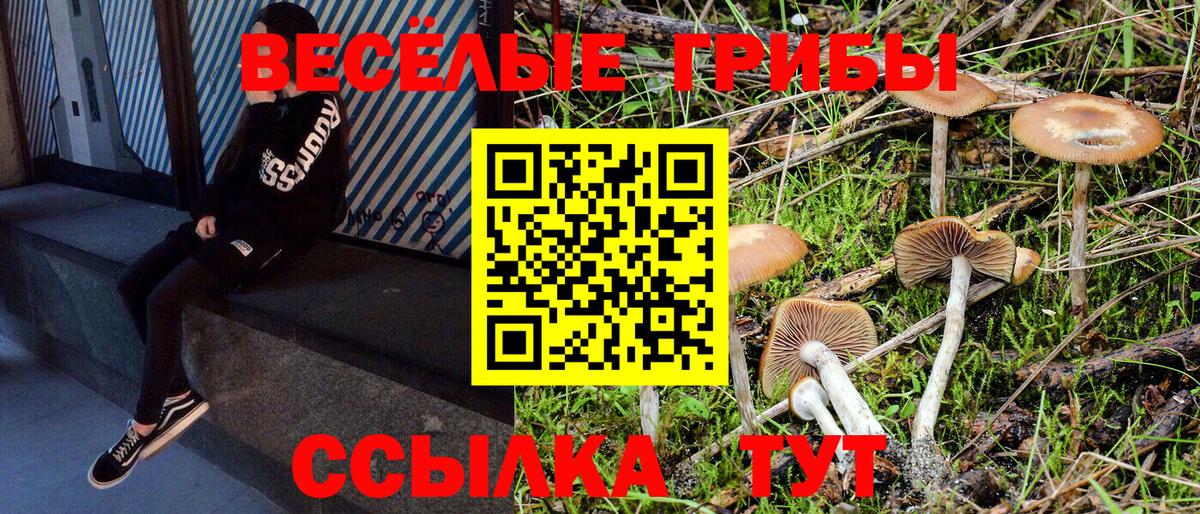 Озёры  Галлюциногенные грибы Magic Shrooms  Вход с VPN  Галлюциногенные грибы мицелий 
