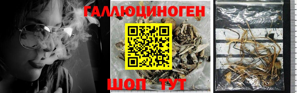 Псилоцибиновые грибы ЛСД Озёры